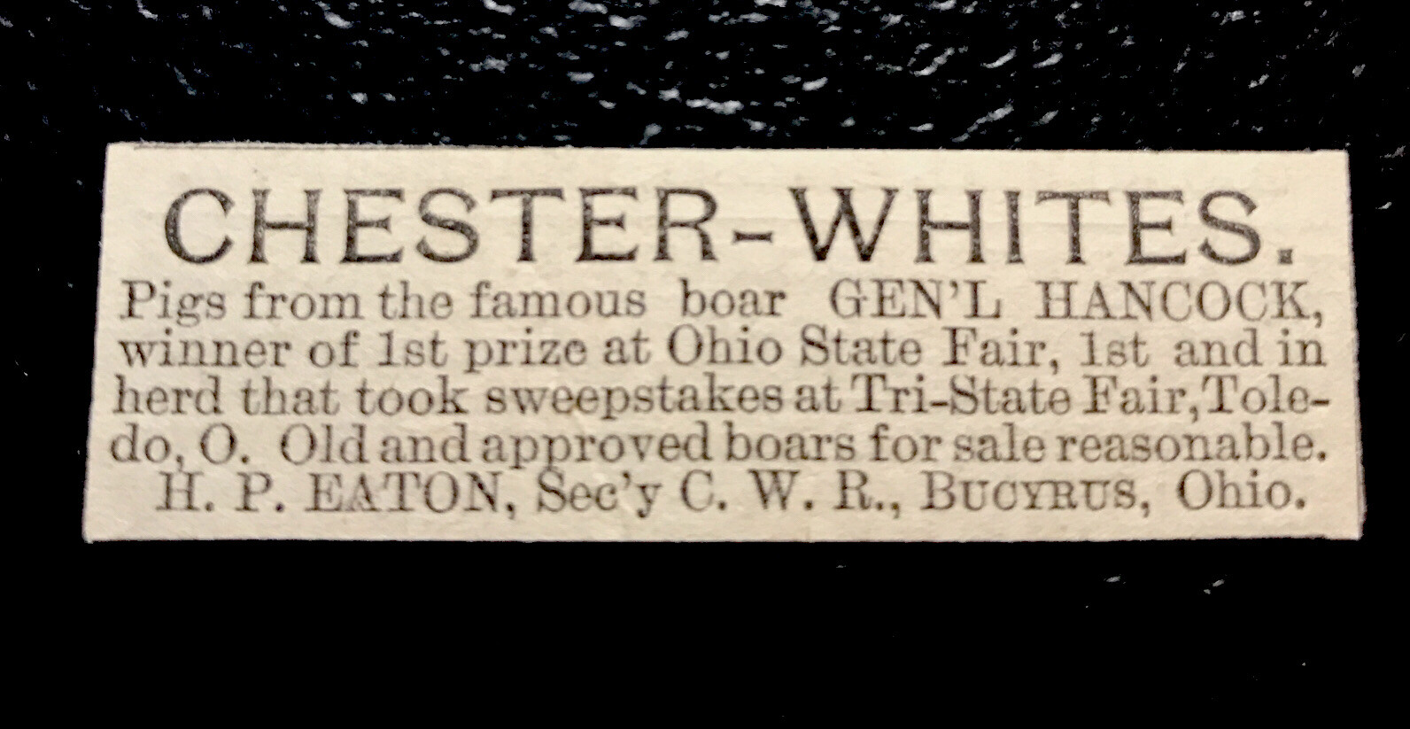 1886 H.P. Eaton Hog Pig Farm Advertising - Bucyrus - Ohio
