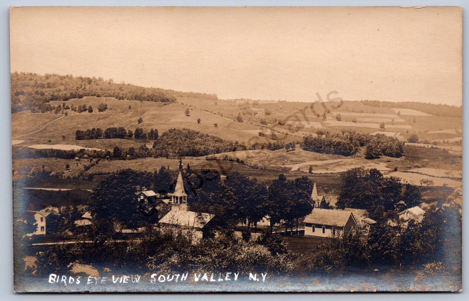 K32/ South Valley New York RPPC Postcard c1910 Otsego County Birdseye 981