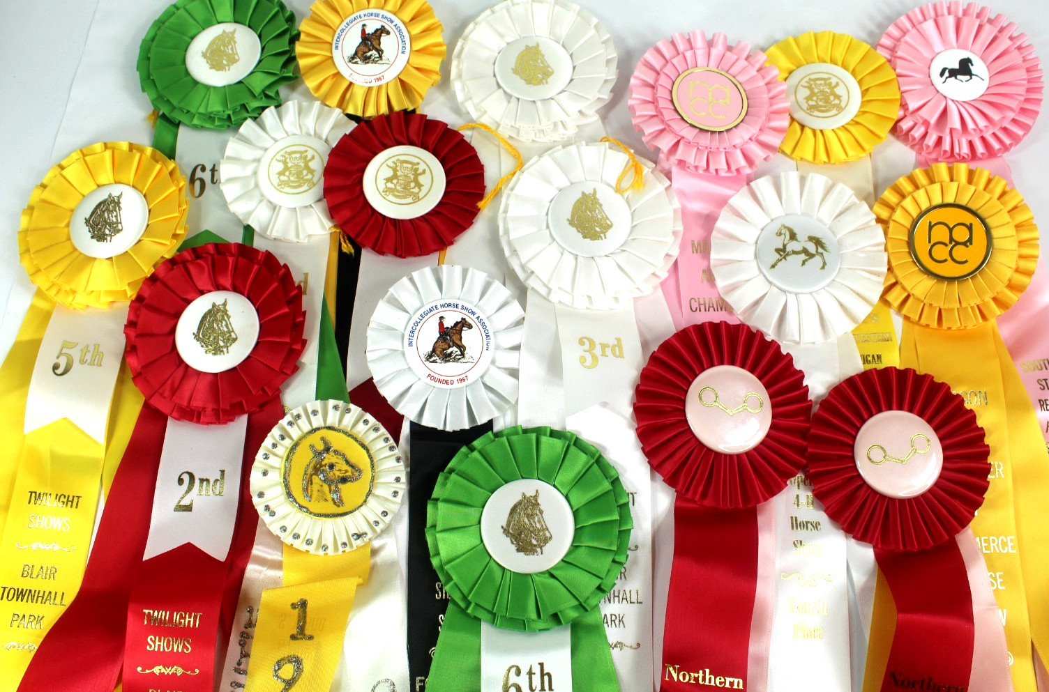 Lot Of 18 Horse Show Ribbons Albion College, Blair Townhall Park, NW Mich. Fair