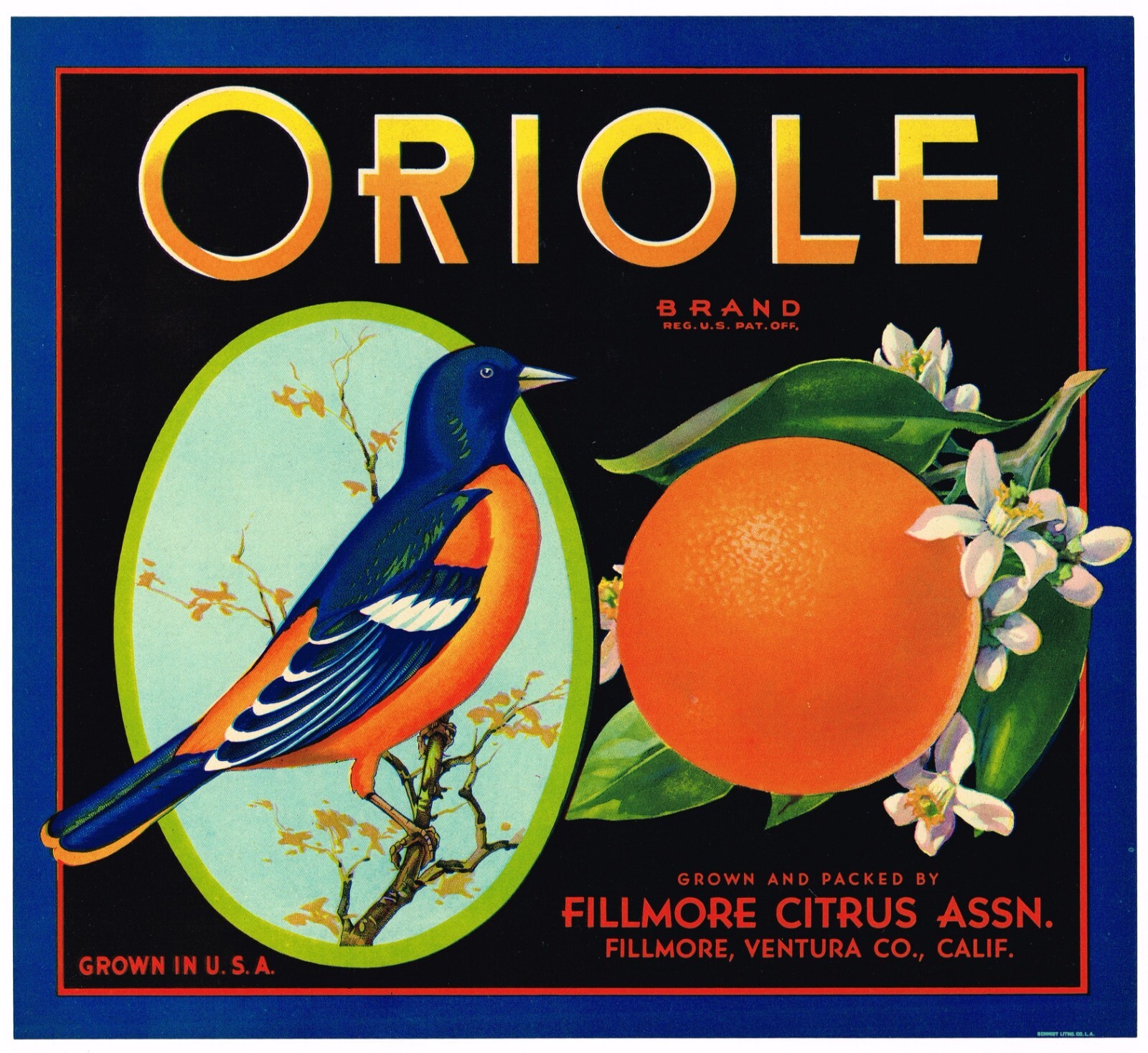 ORIGINAL 1930S ORIOLE ORANGE CRATE LABEL FILLMORE VENTURA BIRD VINTAGE MINT