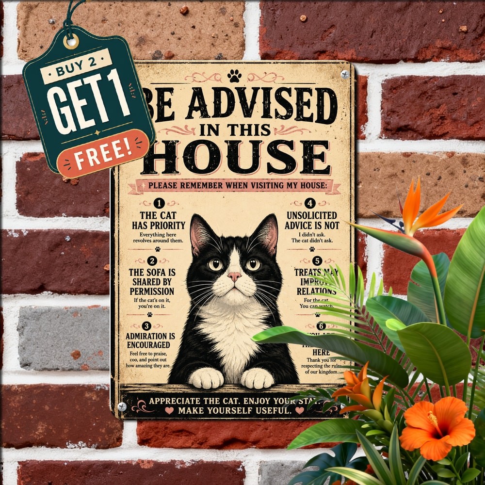 Visiting My House Cat Rules Metal Sign Vintage Pet Lover Wall Decor Plaque 8x12