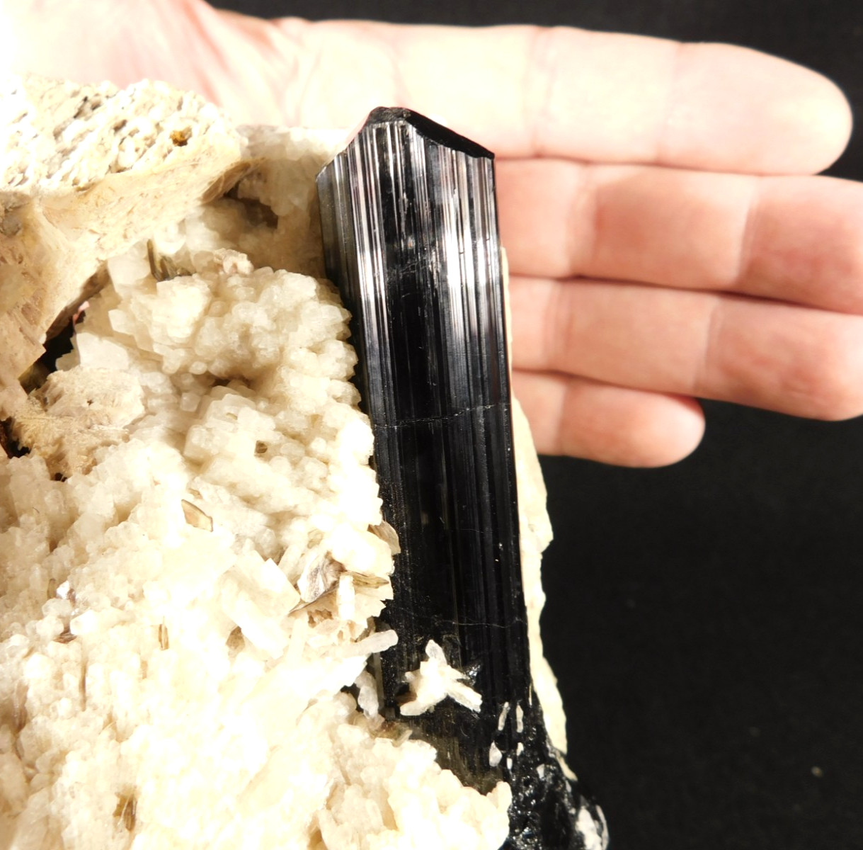 wOw BIG Long Terminated Gemmy Schorl Tourmaline Crystal on Big Matrix Brazil