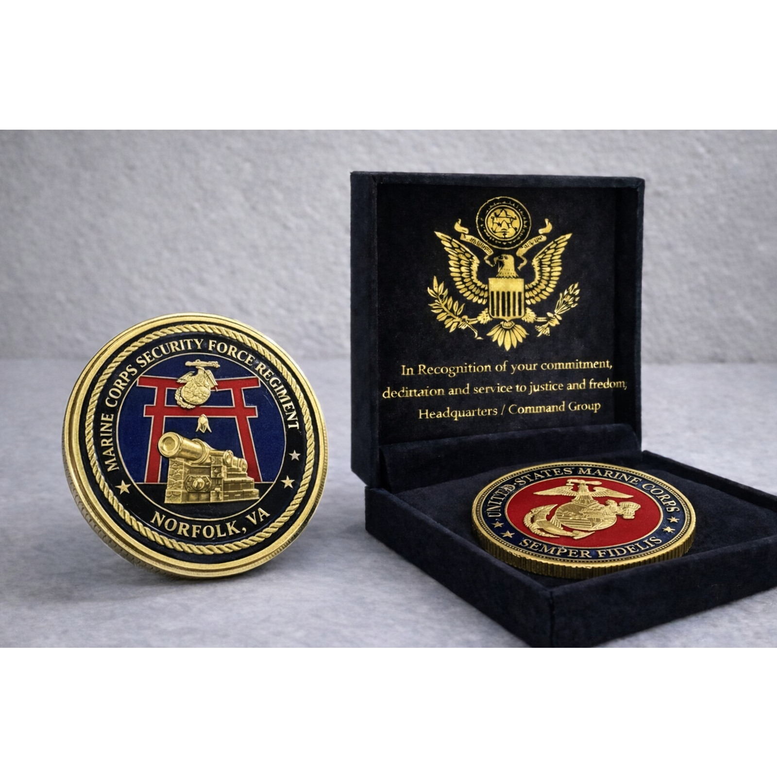 USMC Security Force Regiment Norfolk, VA ·FAST SHIPPING· w/ Achievement Award