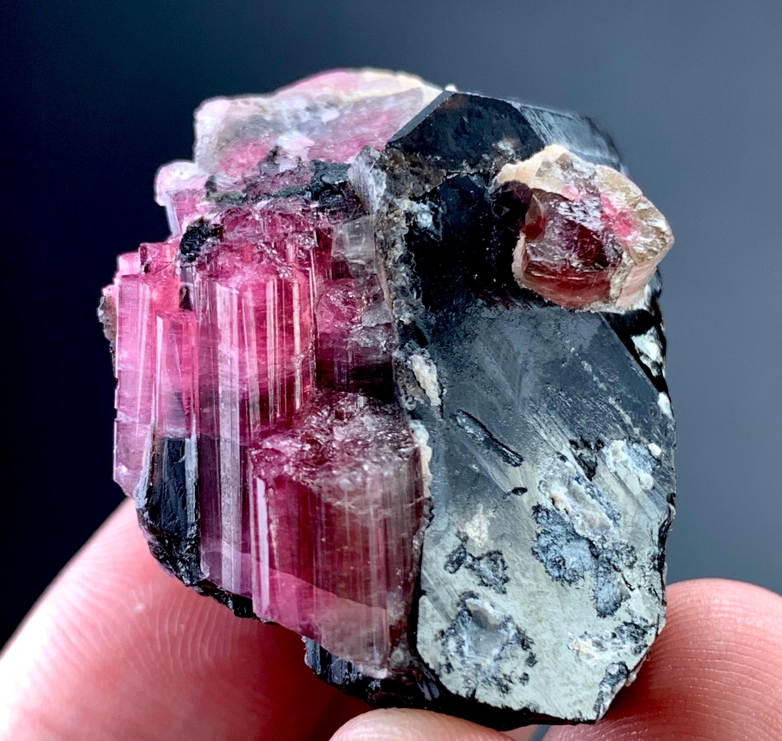 215 Carat Pink Tourmaline Crystal On Smoky Quartz Specimen From Afghanistan