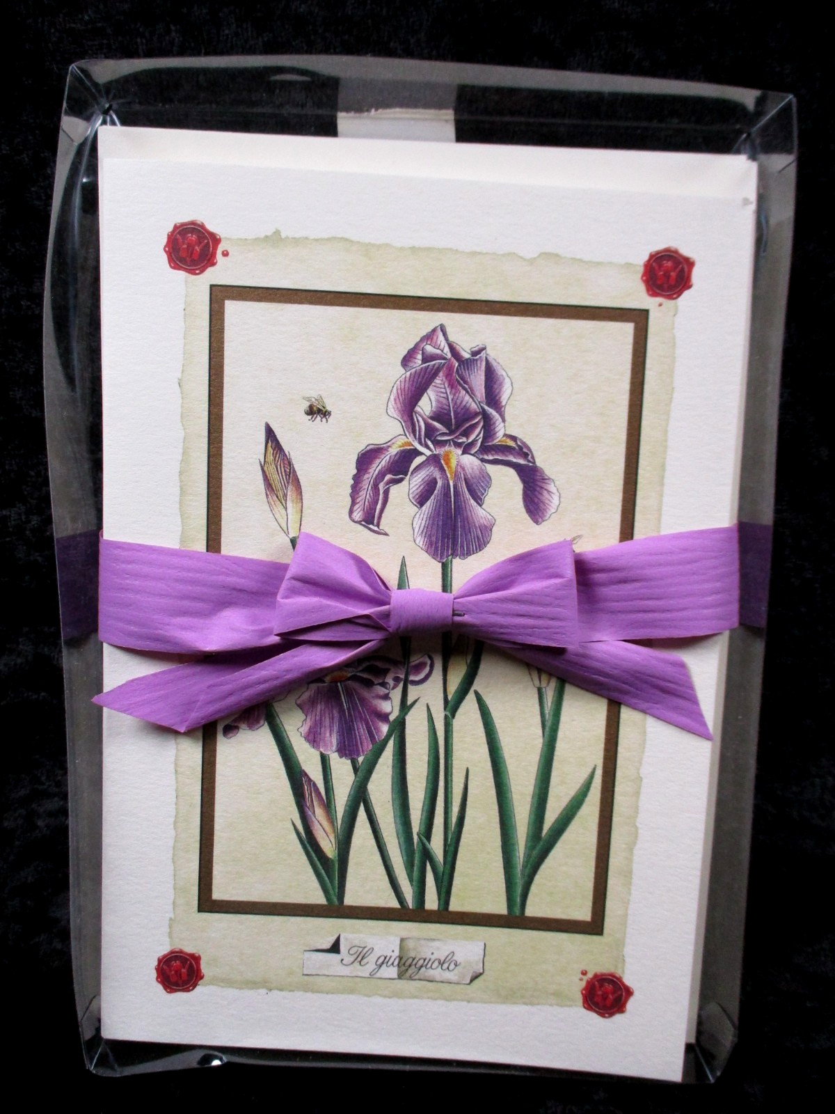 Il Papiro Note Cards Set of 6 with Envelopes - Iris - 6.5\