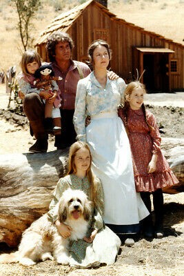 LITTLE HOUSE ON THE PRAIRIE 24X36 COLOR POSTER CAST 1970'S TV