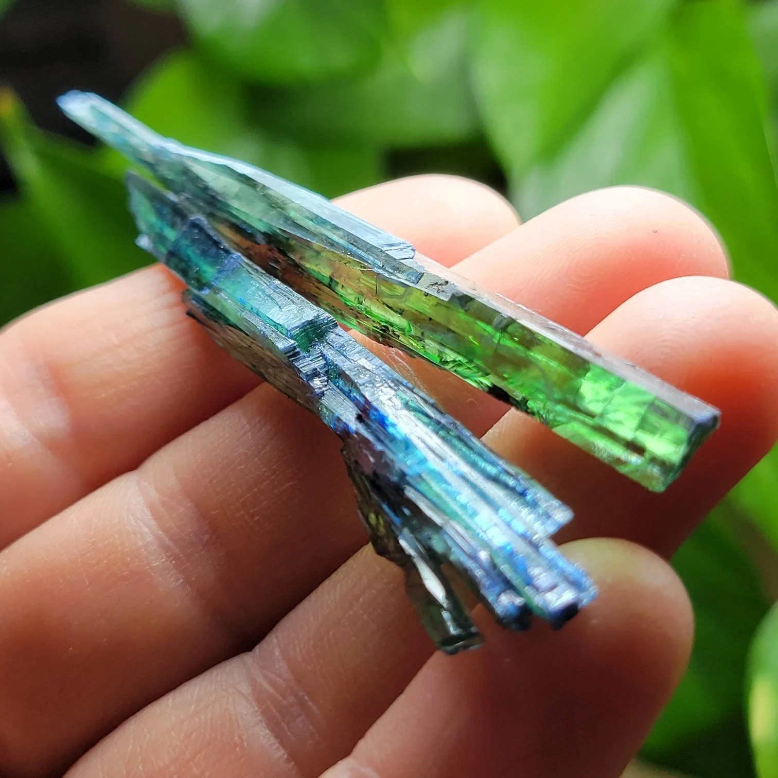Vivianite Crystal Specimen, Choose your Size