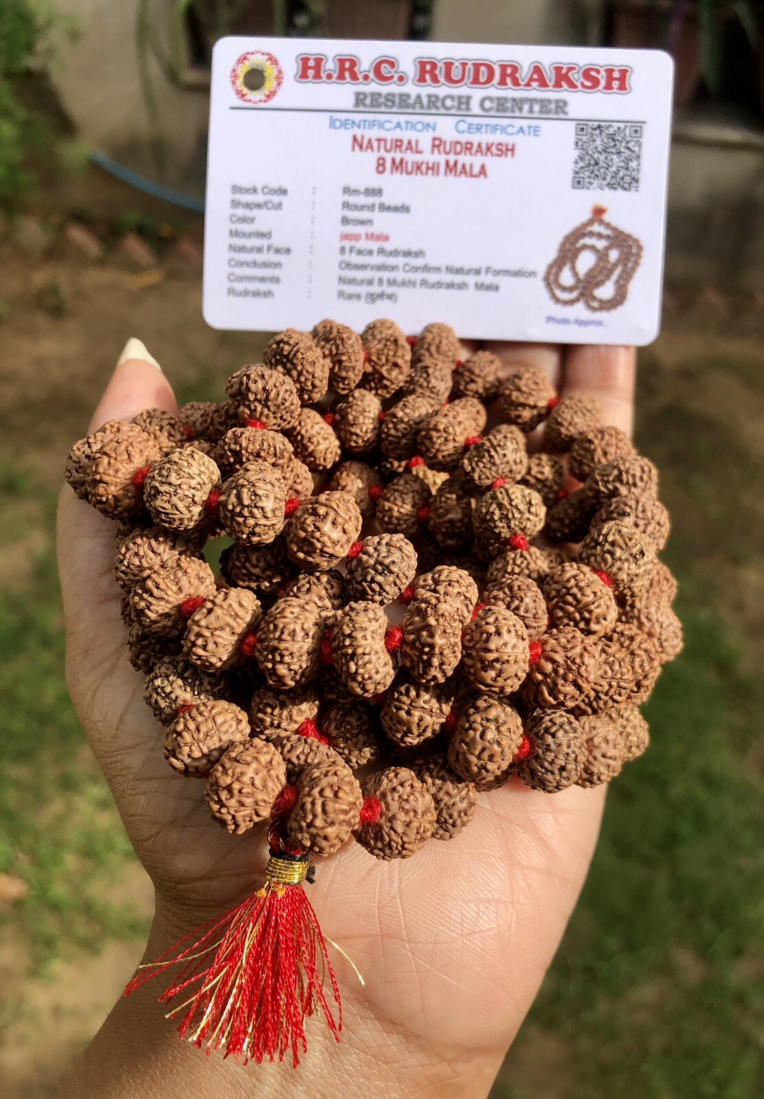 LAB CERTIFIED Rare 8 Mukhi RUDRAKSHA Rudraksh Mala ROSARY 108+1 Prayer Beads