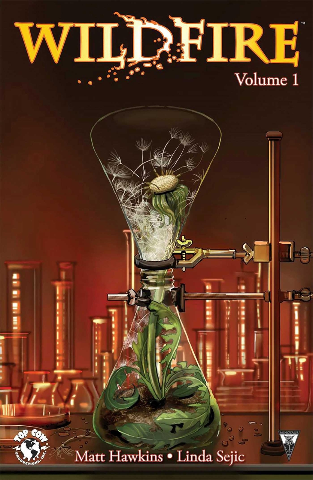 Wildfire Volume 1 TPB Image Comics