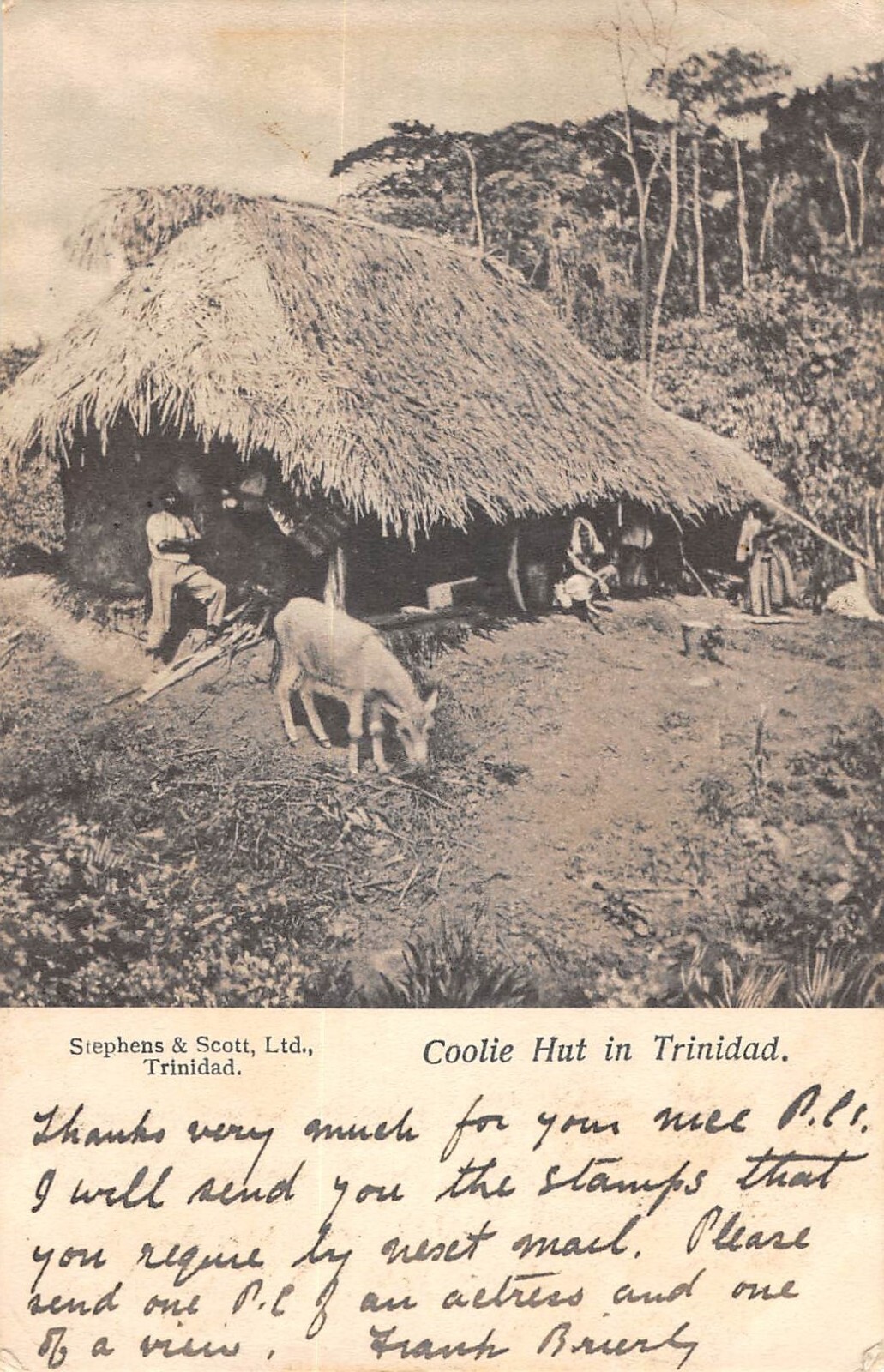 Postcard Trinity / West Indies / Coolie Hut in Trinity
