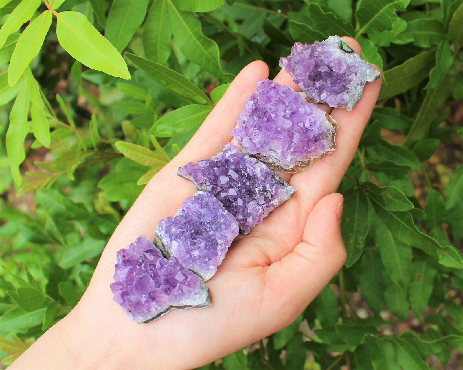 Natural Amethyst Crystal Clusters - Choose Size ('AAA' Grade Druze from Uruguay)