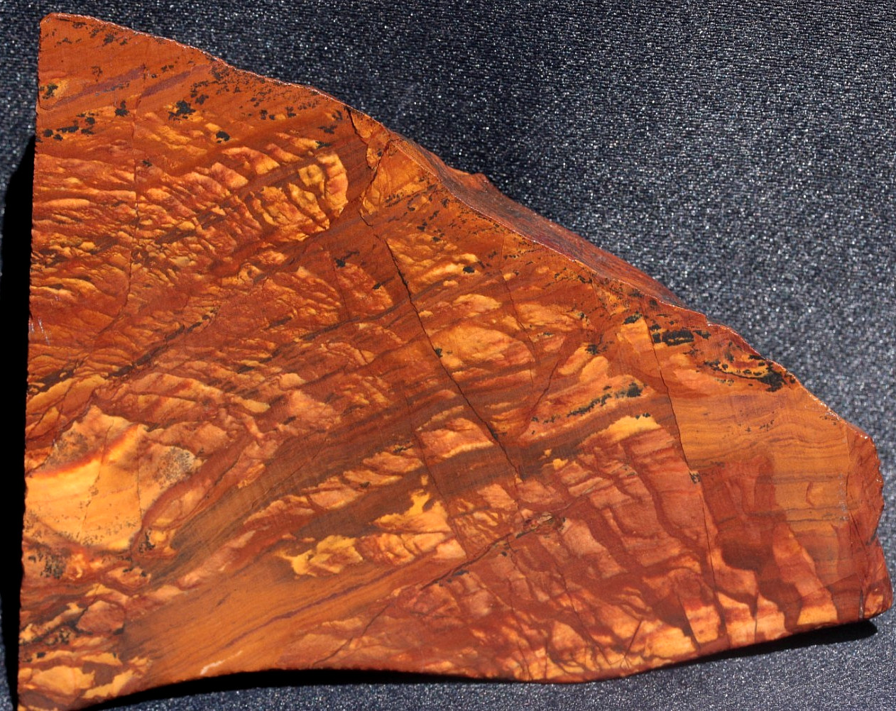 C406  ~   2.4oz Partial End Slab Beers Mountain Biggs Scenic Jasper
