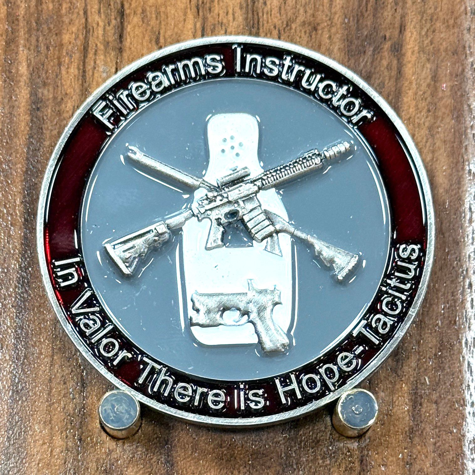 Harford County Sheriffs Office Firearms Instructor Challenge Coin  M#19