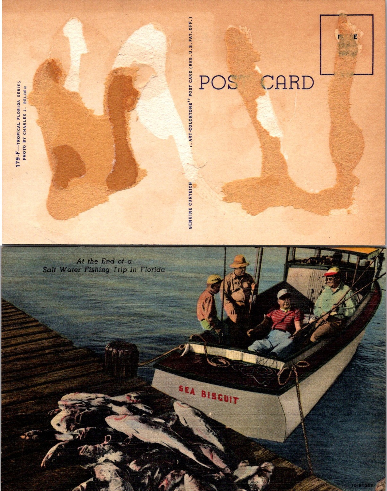 Vintage Florida Saltwater Fishing Trip Postcard Unused 50585