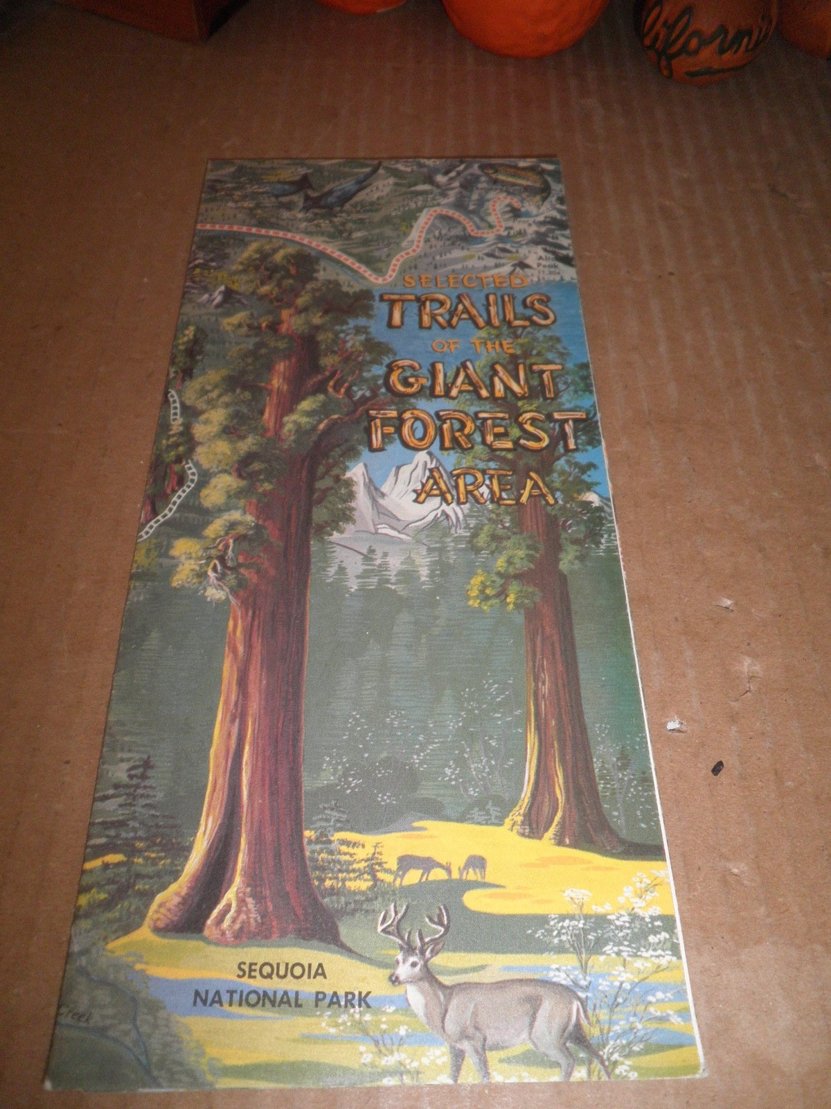 Sequoia National Park Trails of the Giant Forest Foldout Brochure 1972