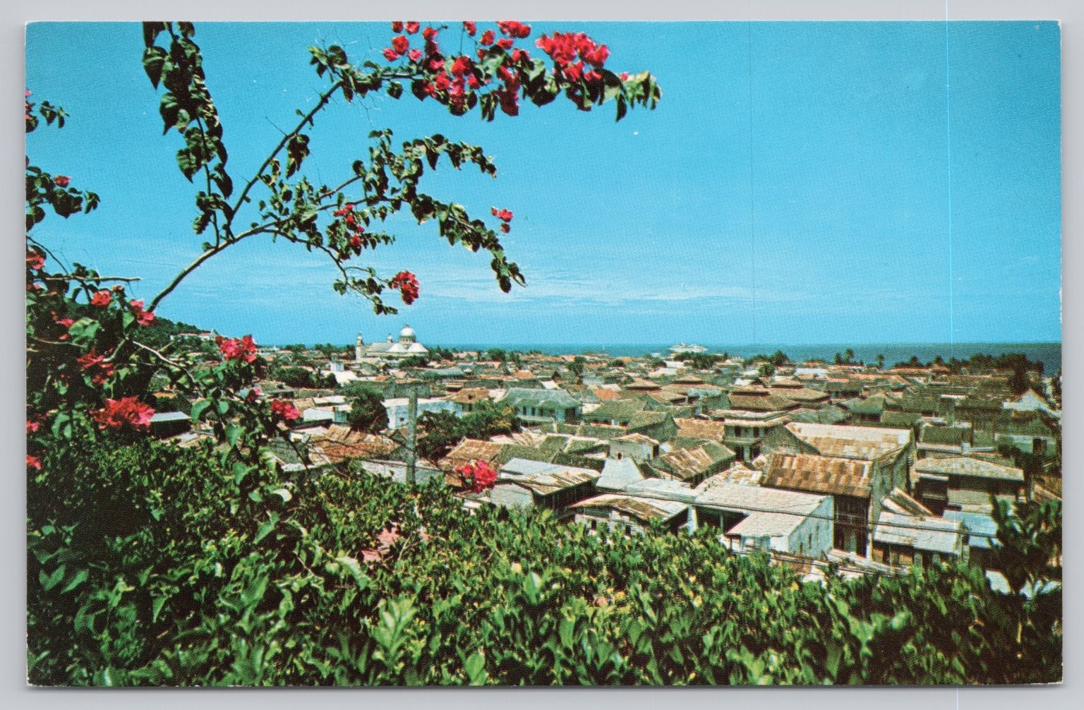 Cap Haitien Haiti Panoramic View Bougainvillea Flowers Cruise Ship Postcard