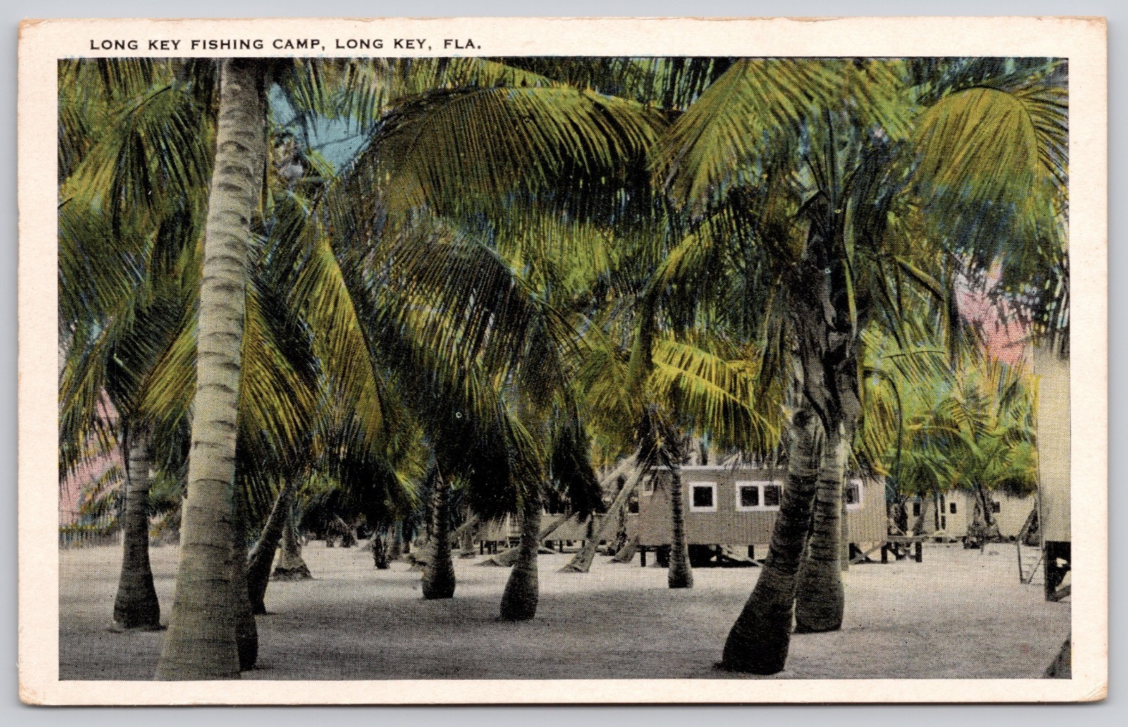Long Key Florida FL Long Key Fishing Camp Florida Keys Postcard c1930s