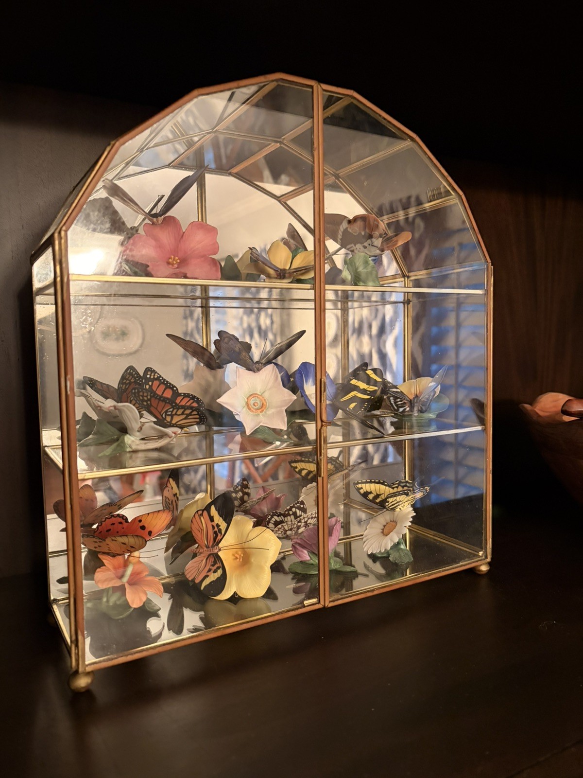 Vintage Franklin Mint Butterflies of the World Collection With Case