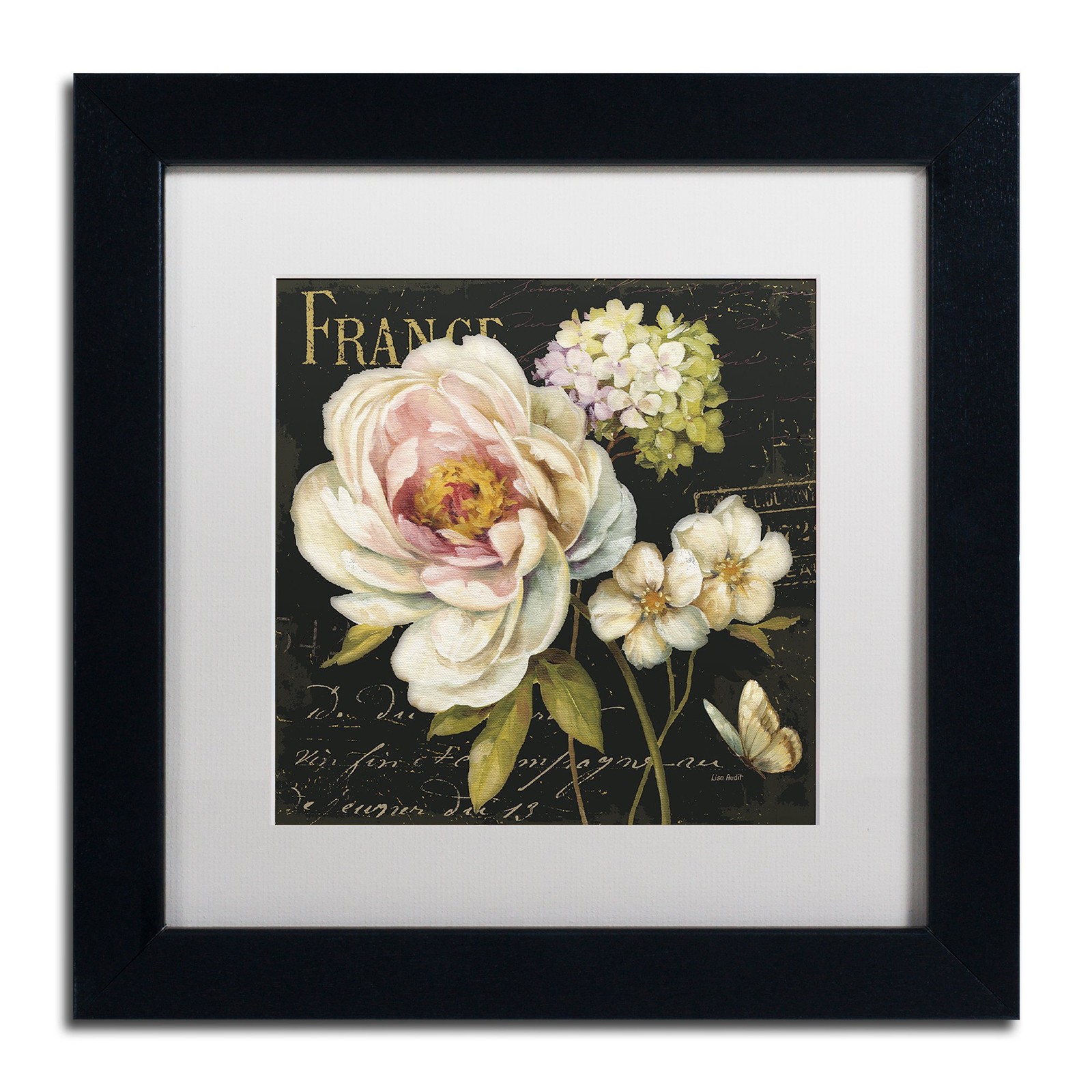 Trademark Fine Art Marche de Fleurs on Black Decor Lisa Audit 11x11 Black Frame