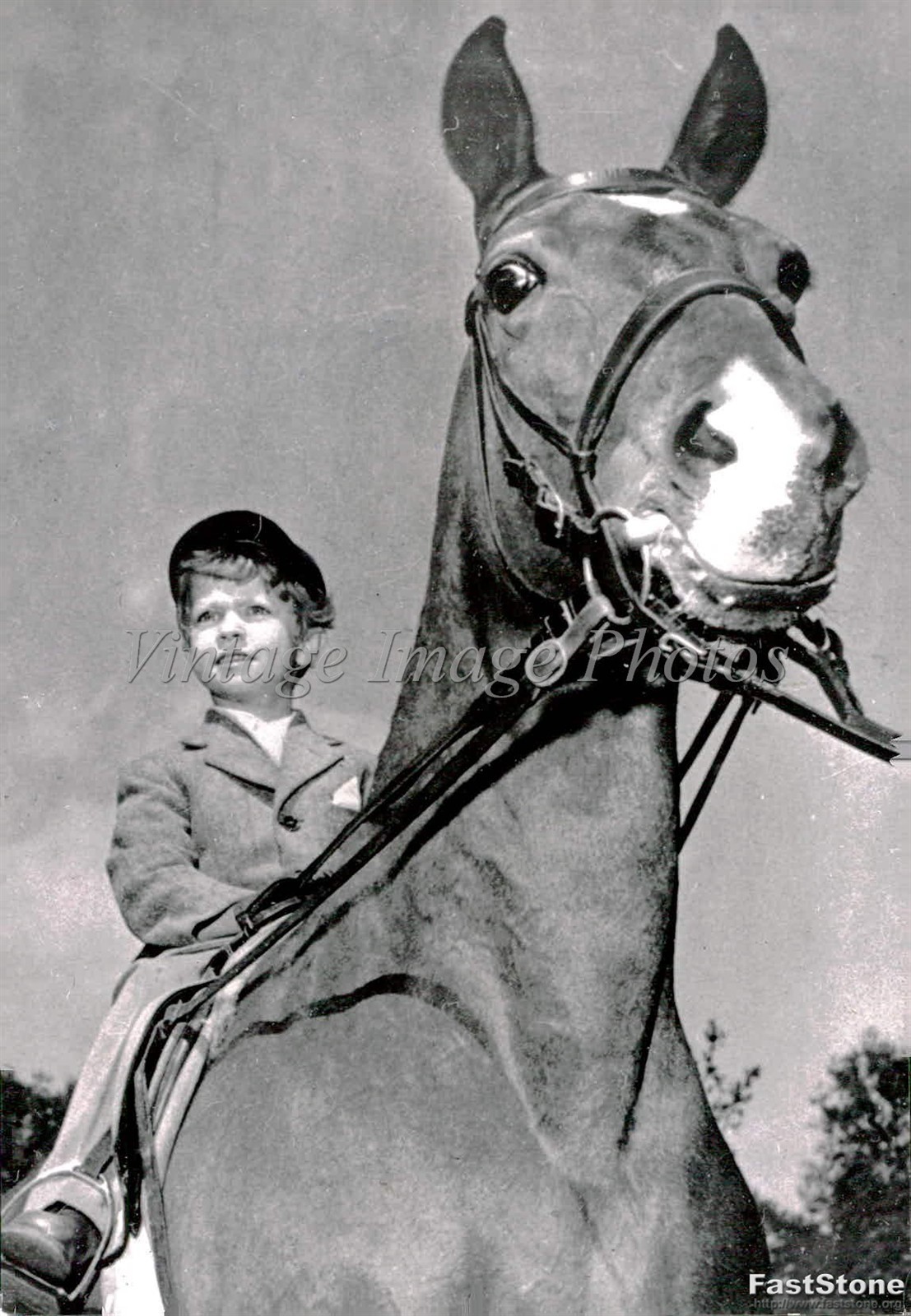 1952 Carl Gustaf Prince Sweden Child Master Horse Ride Press Vintage Photo 6x8