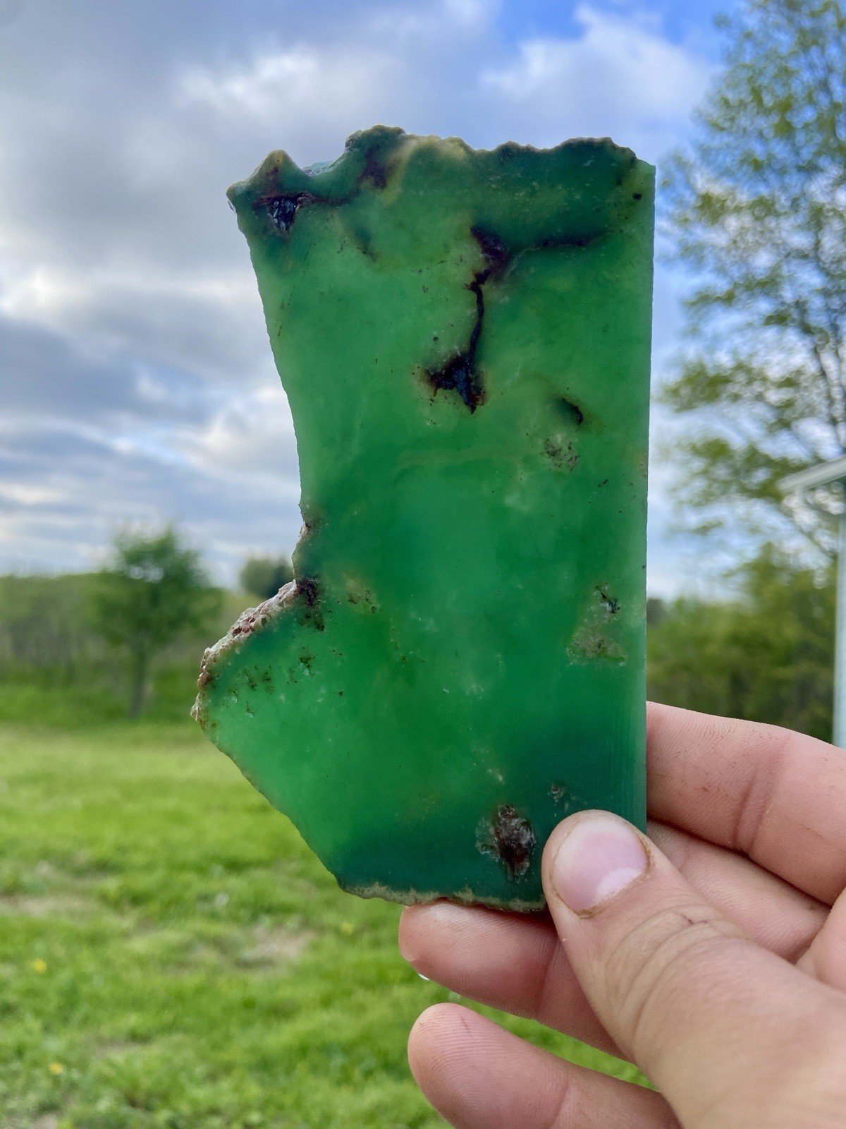 Chrysoprase Slab Natural Slice Vibrant Green 5.3 Oz