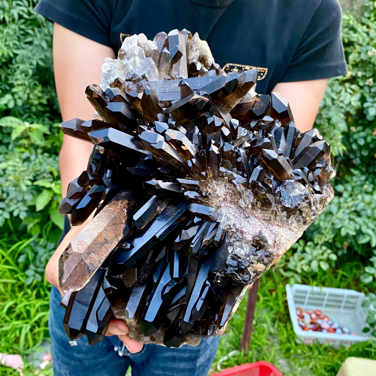 11LB  Natural Tea black Crystal quartz Cluster Mineral Specimen Healing reiki
