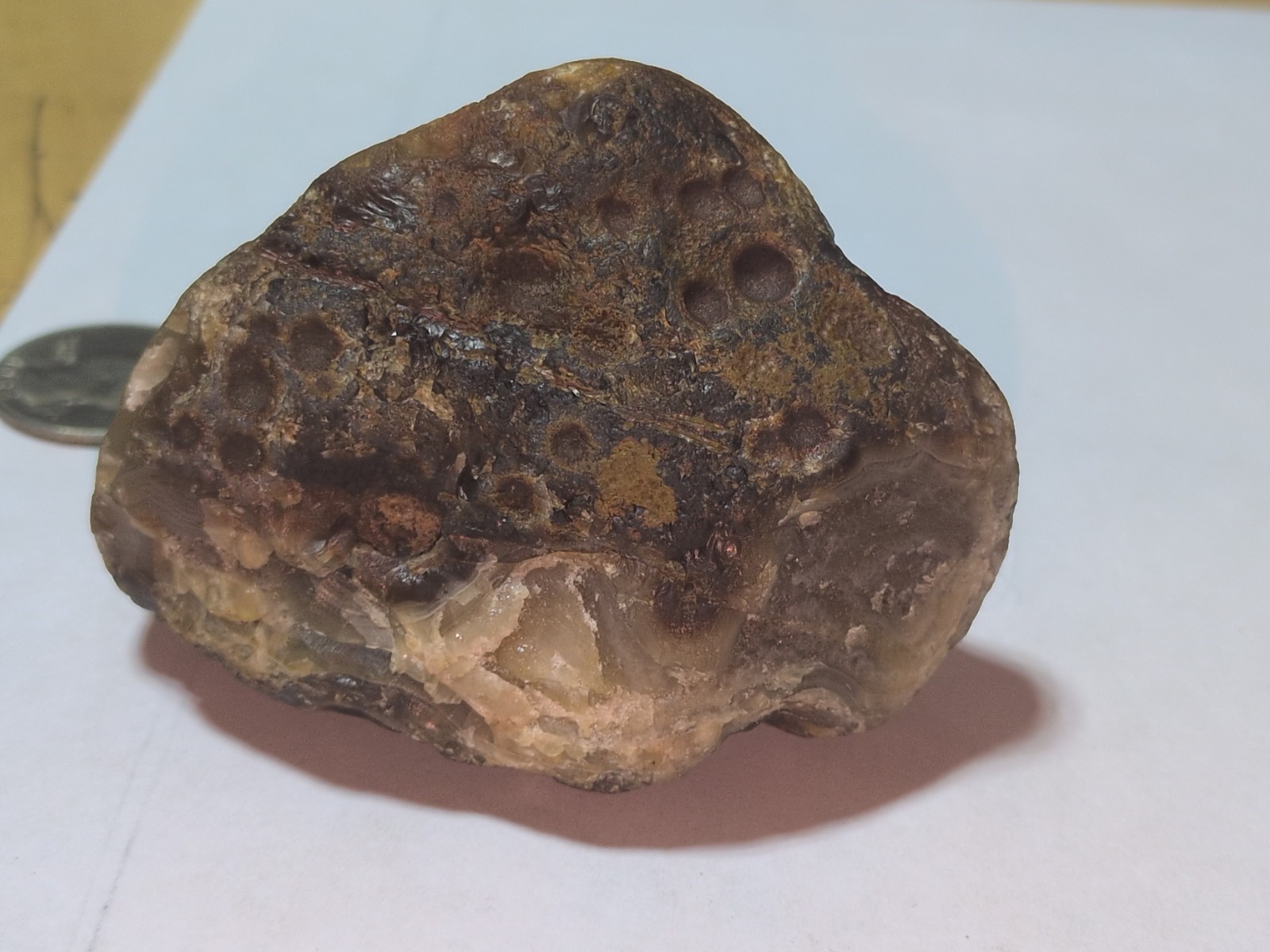 7.3oz Lake Superior Agate