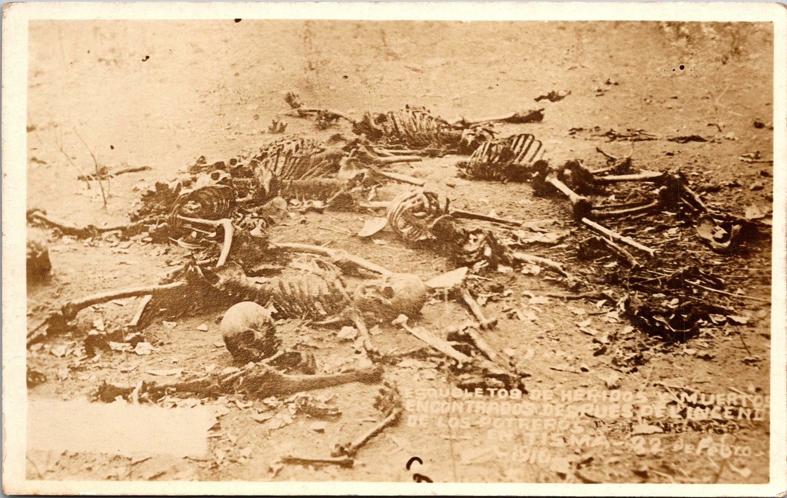 Mexican Revolution 1913 Battlefield Mexico Corpses Postcard unused 1910s
