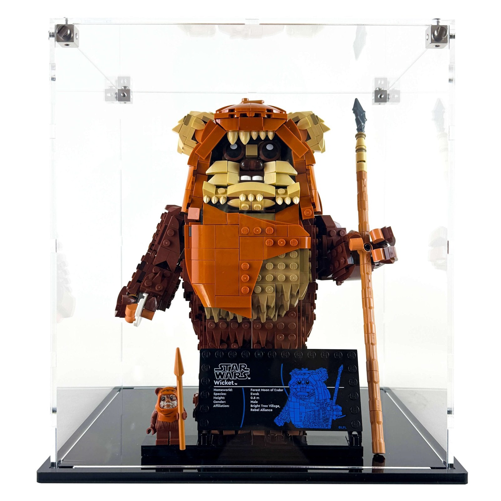 Display Case for LEGO® 75430 Star Wars™ Wicket the Ewok™