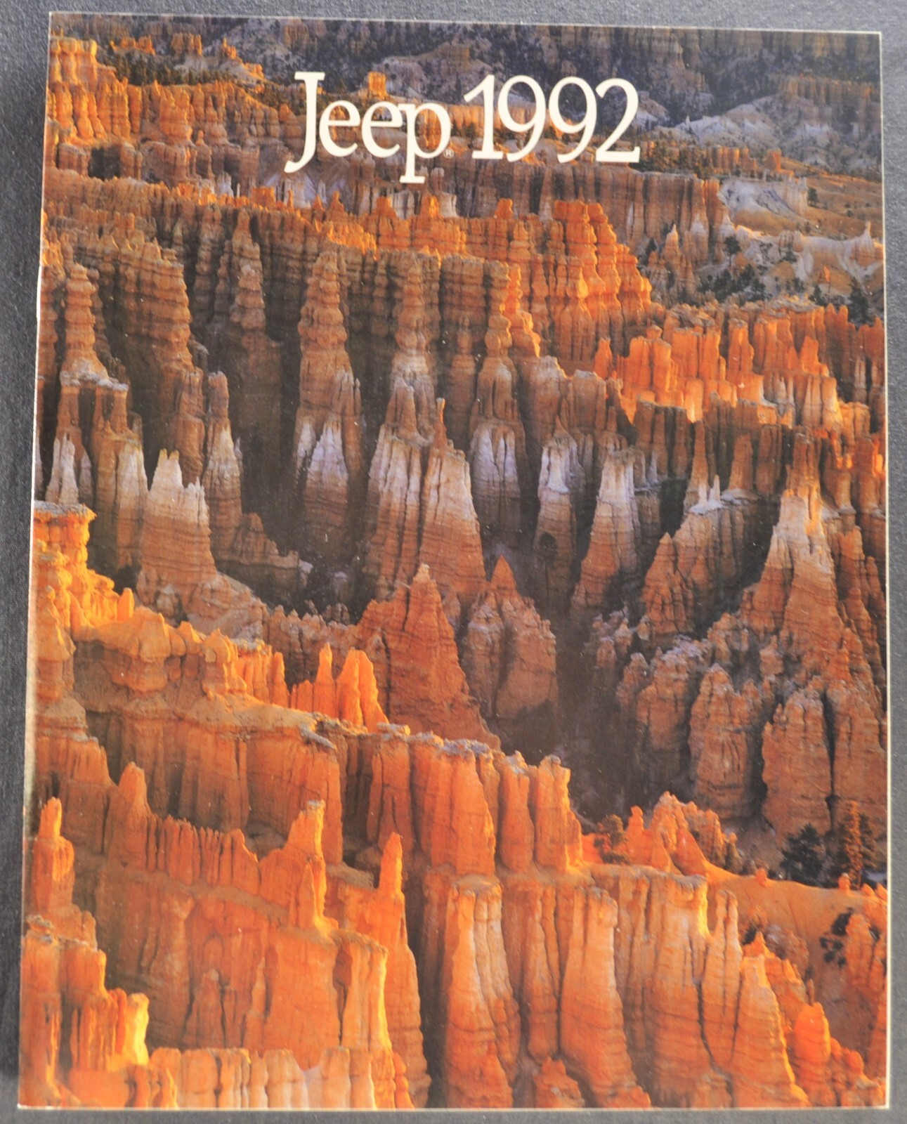 1992 Jeep Brochure Wrangler Renegade Cherokee Wagoneer Comanche Pickup Original