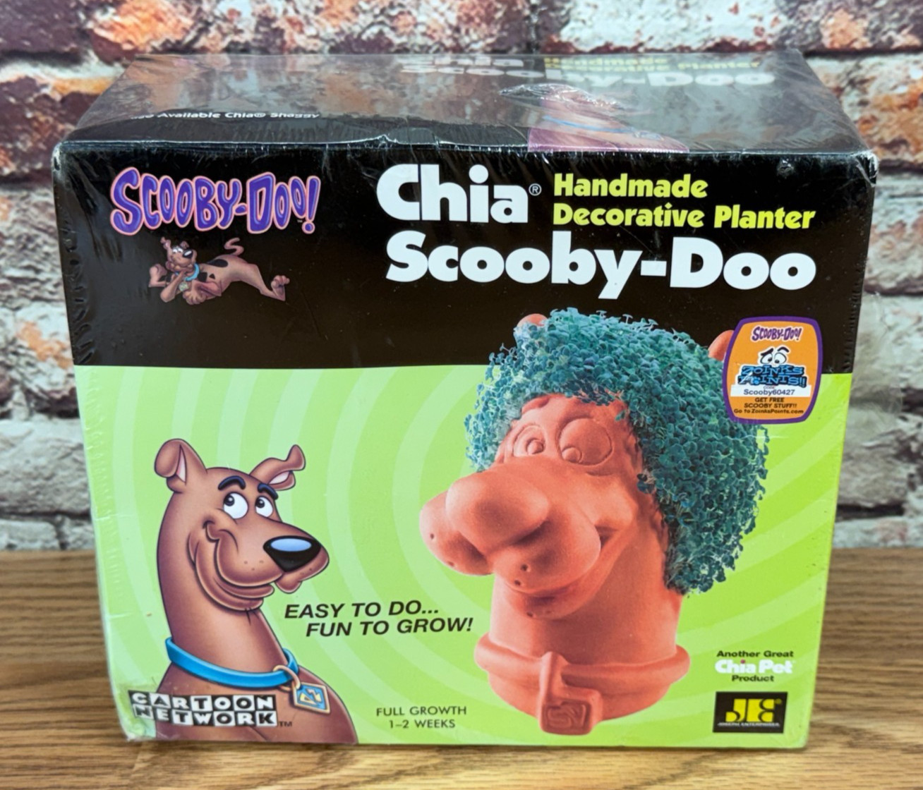 Chia Pet Scooby-Doo Decorative Planter Cartoon Network 2011 - New - Box Damage