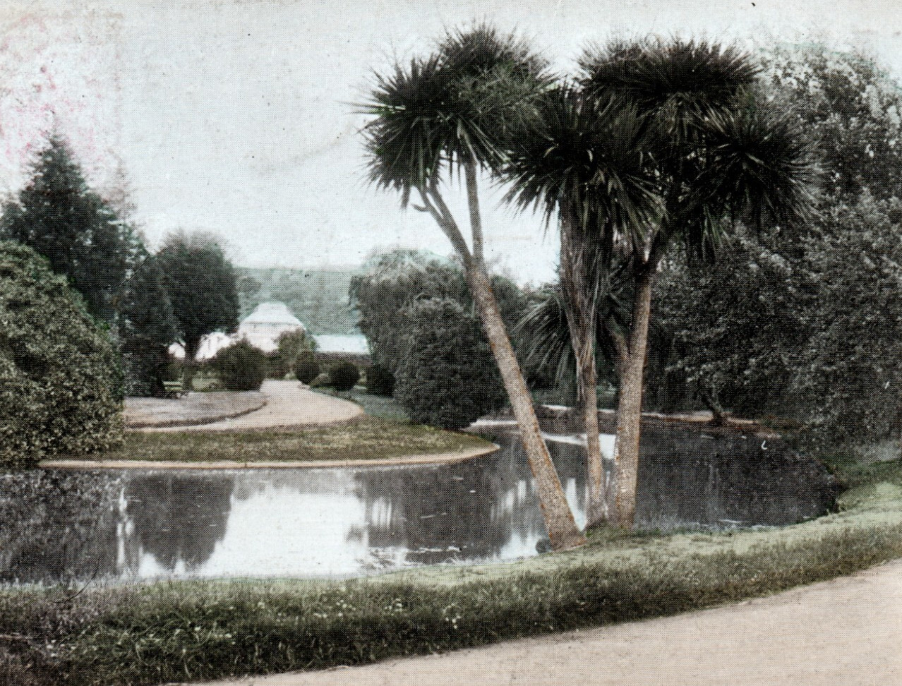 1905 Botanical Gardens Dunedin NZ Postcard NSW Pyrmont Leystone Sydney