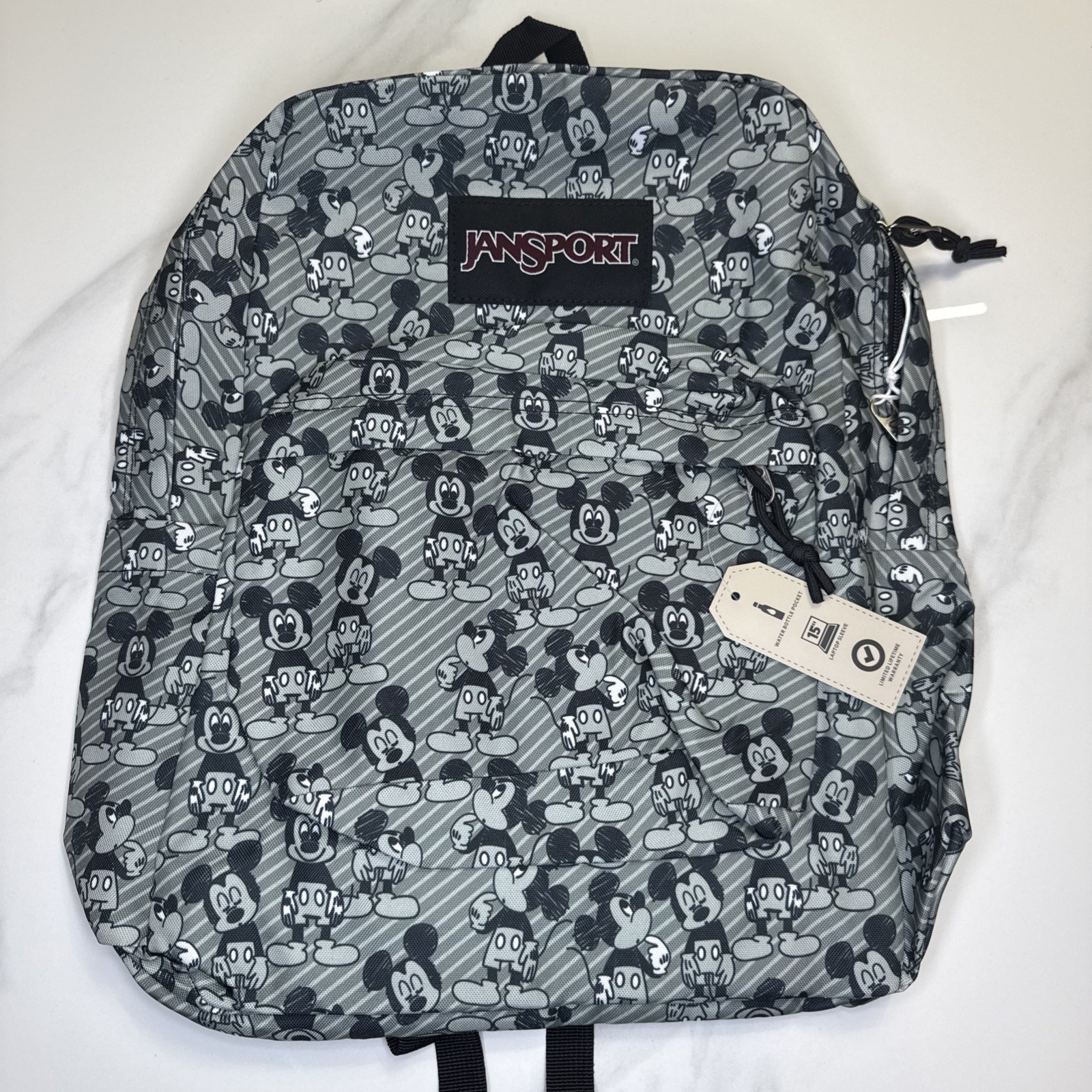 This JanSport x Disney SuperBreak backpack in the 