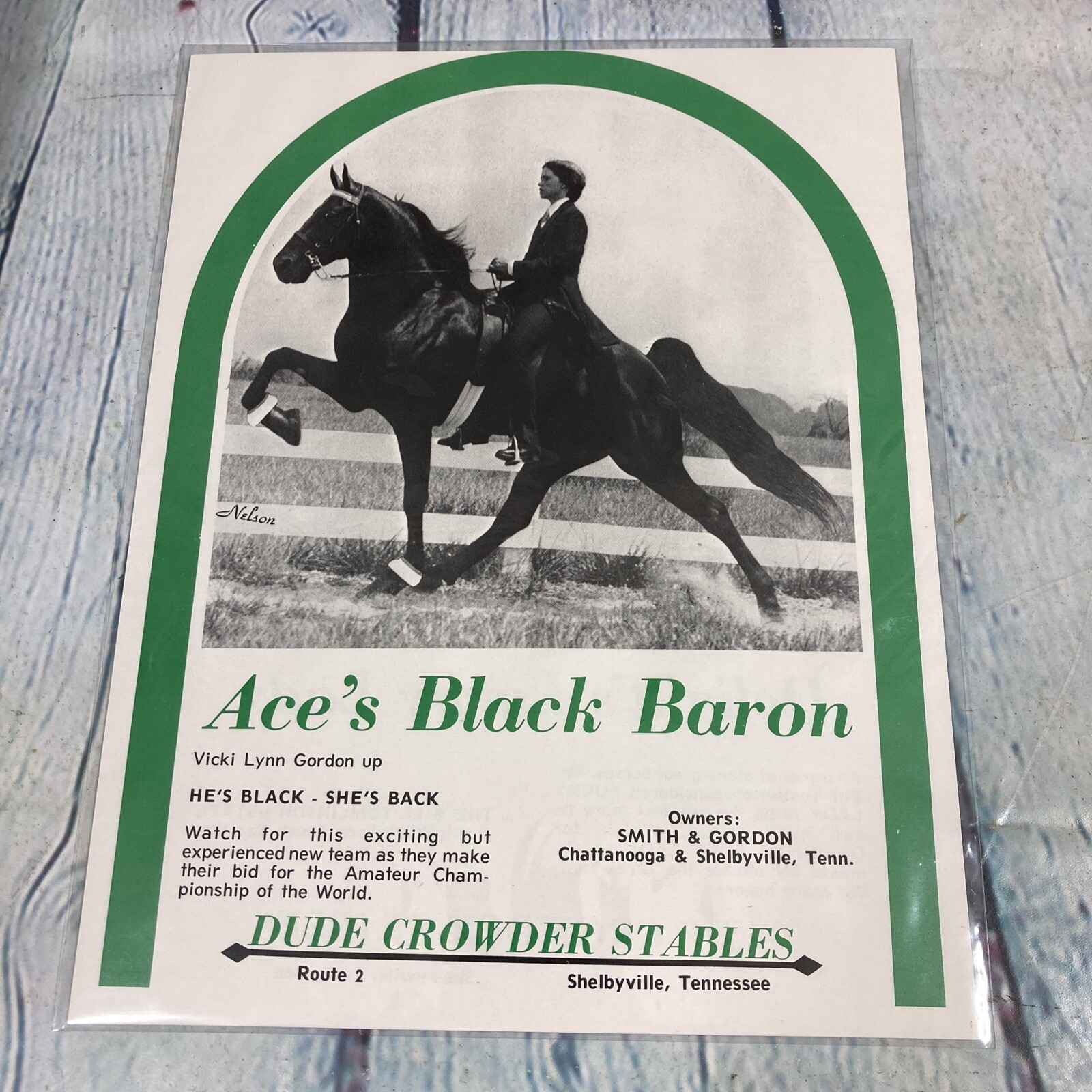 1972 Ace\'s Black Baron Tennessee Walking Horse Vtg Print Ad/Poster Magazine Page