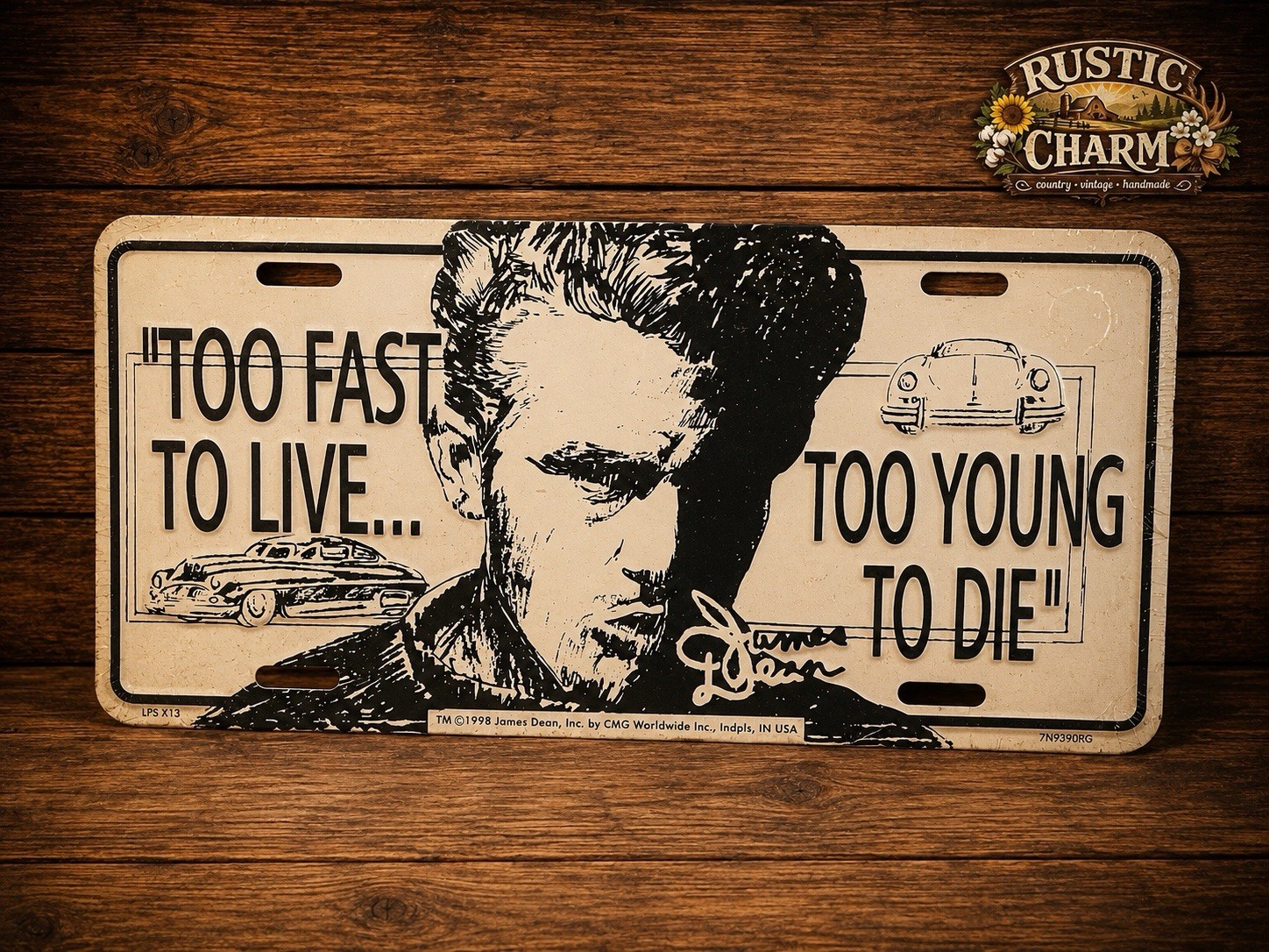 VINTAGE 1998 JAMES DEAN Too Young To Die Booster License Plate