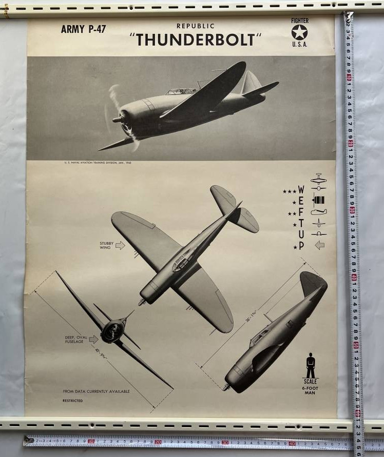 WWII 1943 US Navy Aircraft Recognition Poster P-47 Thunderbolt Republic Fighter
