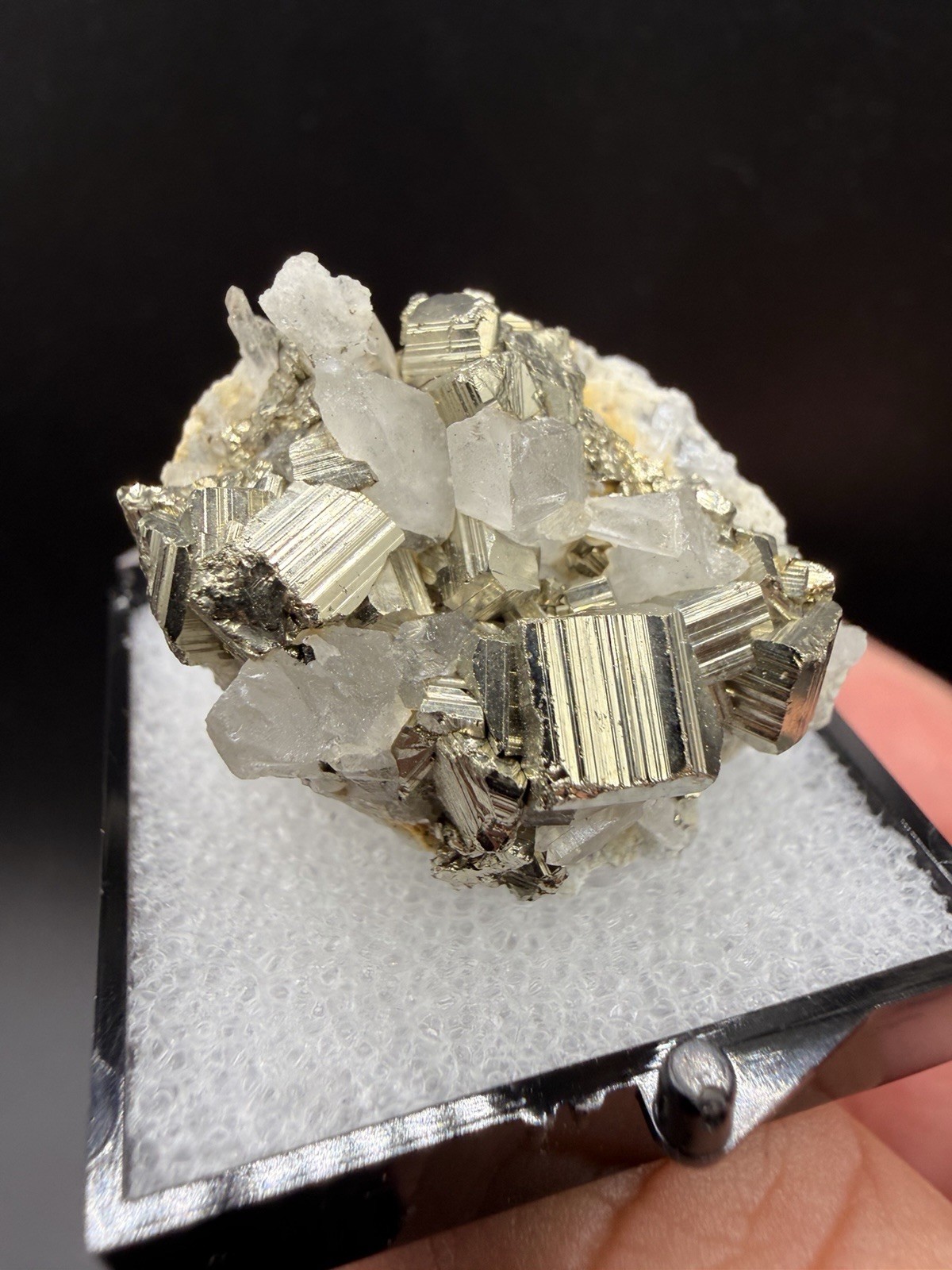 Gorgeous Striated Golden Pyrite on Quartz (Thumbnail) - Kalimantan, Indonesia