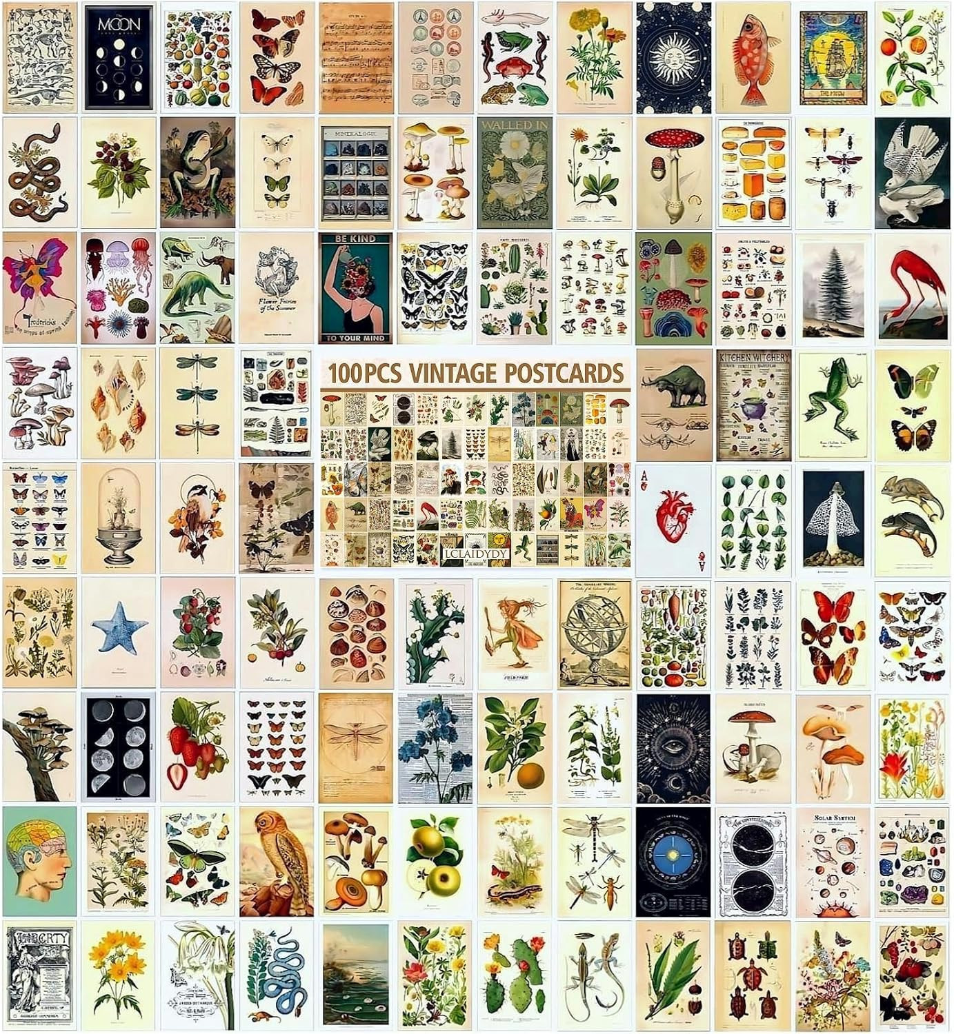 100 PCS Vintage Botanical Postcards 4x6 Aesthetic Retro Art Card Set