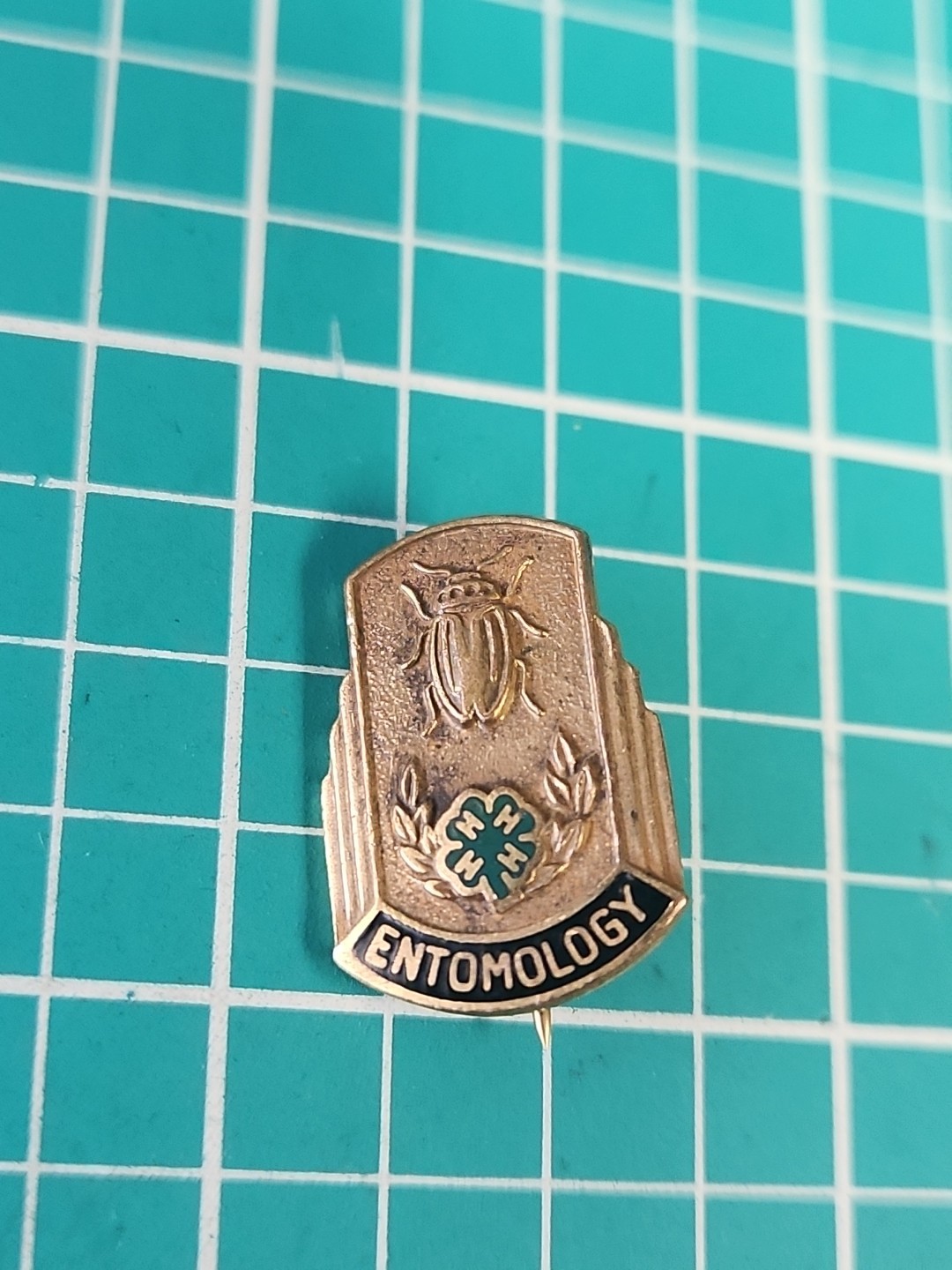 Vtg 4H Entomology Gold Tone Lapel Pin