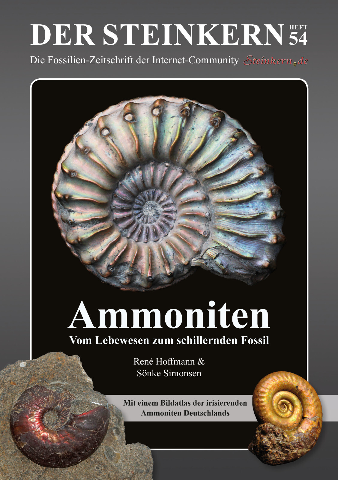 THE STONE CORE 54: Ammonites: From Living Things to Iridescent Fossil (116 Sided)