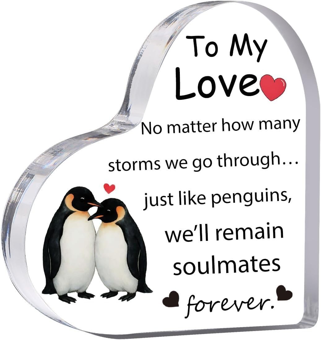Gift for Him Her Love Keyring Stainless Steel Birthday Anniversary Token Present