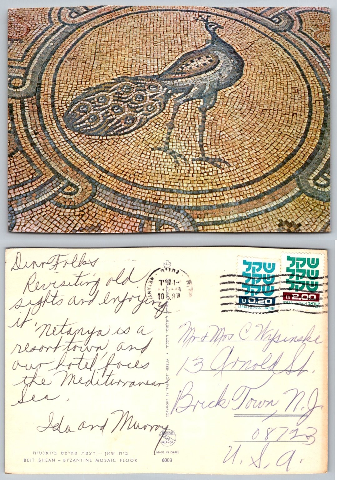 Beit Shean Israel Byzantine Mosaic Floor Peacock Palphot Postcard 1987