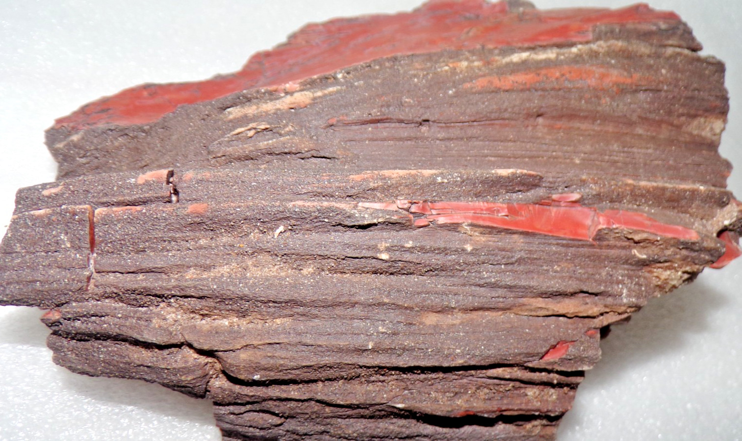 Love the Red  Petrified Wood Northern Arizona 3+ Lb All Natural