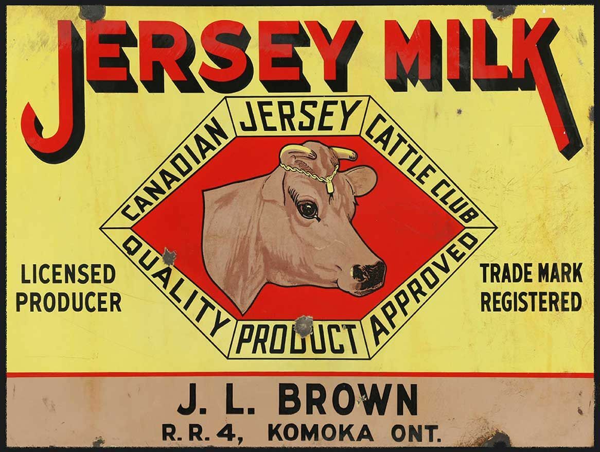 JERSEY MILK CANADIAN CATTLE CLUB 16