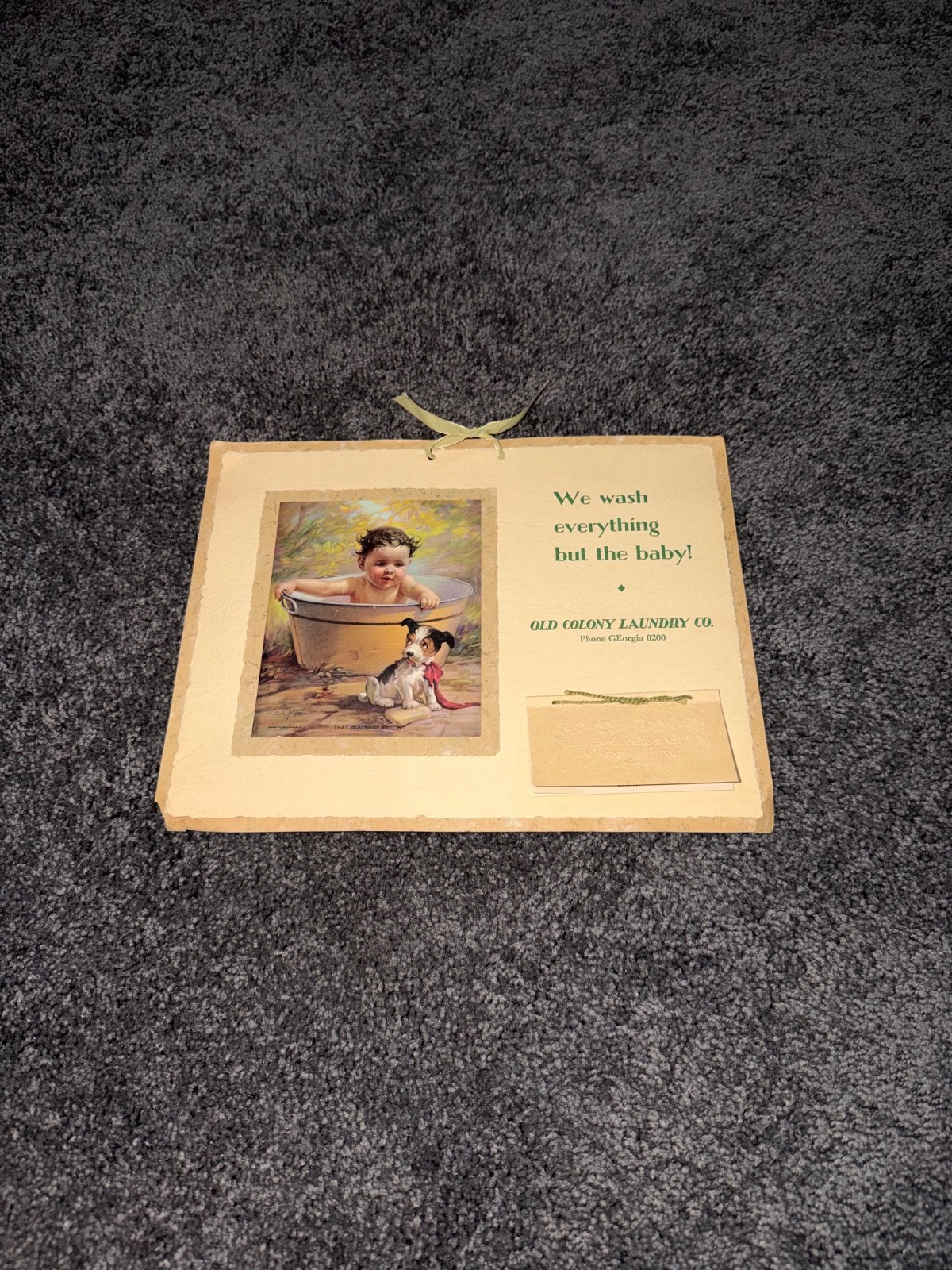 Vintage Old Colony Laundry Advertising Sign Baby Dog “We Wash Everything” DC