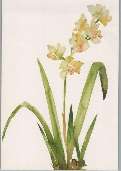 Orchid Water Color Painting Ad for Exhibit Malibu Country Mart Postcard