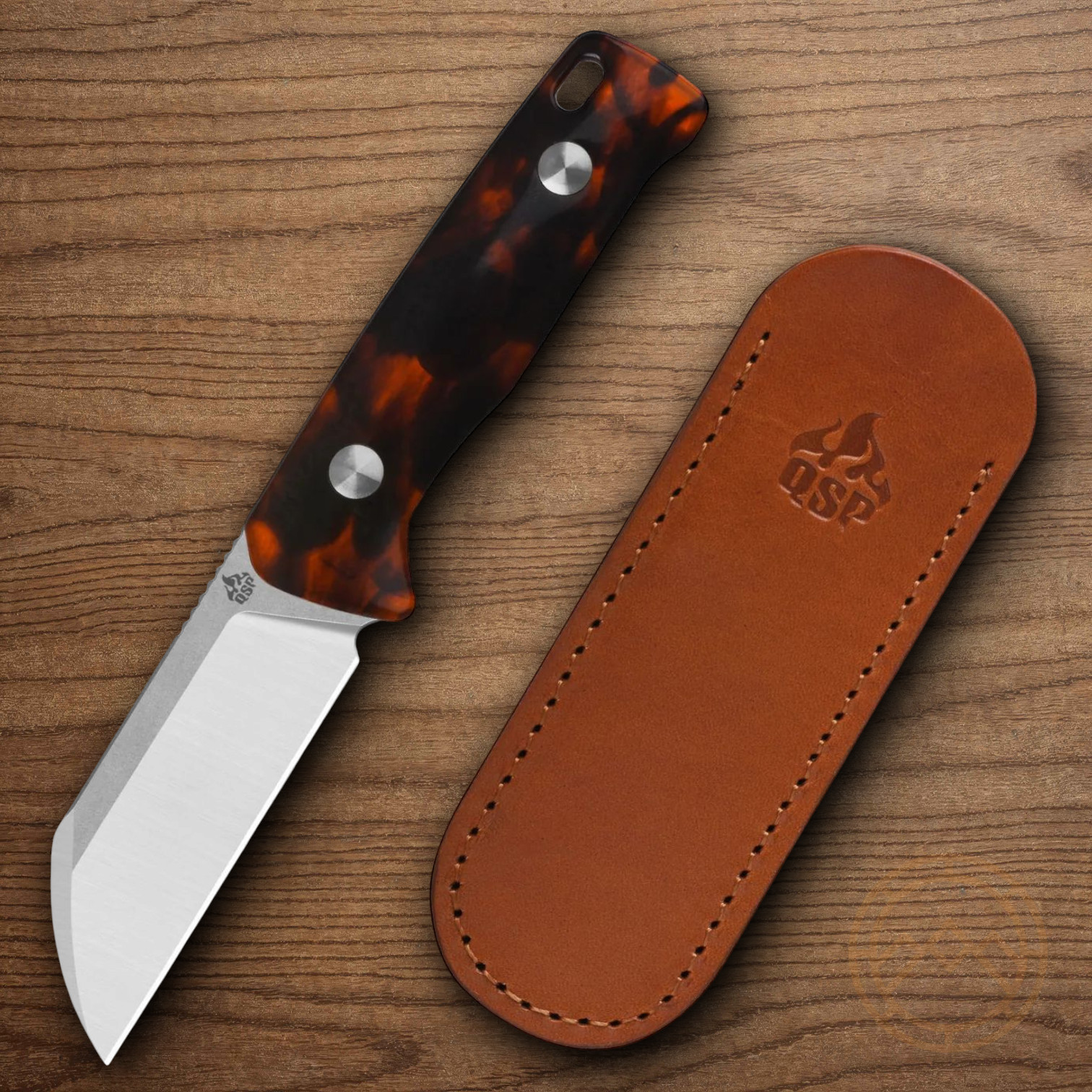 QSP Knife Baby Penguin Fixed Knife 2.5