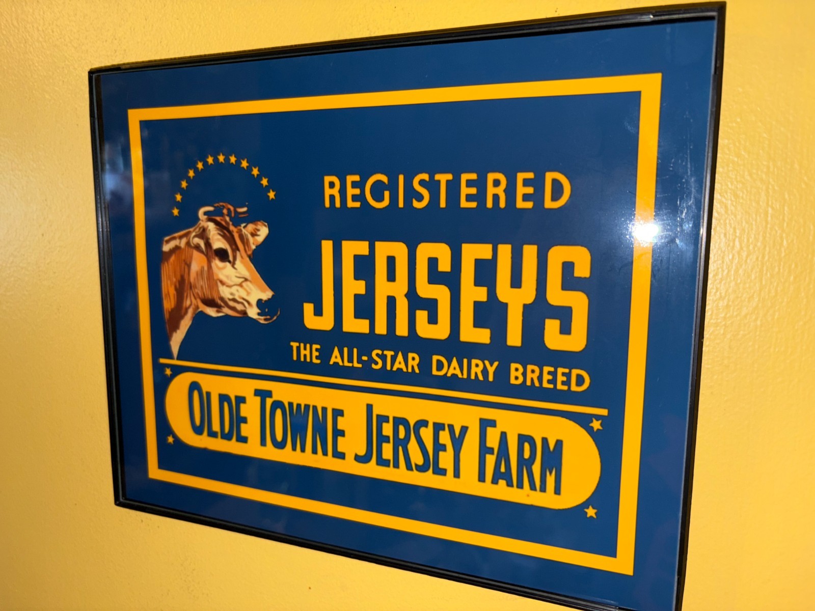 Jersey Cows Dairy Milk Farm Barn Feed Store Farmer Kitchen Advertising Sign