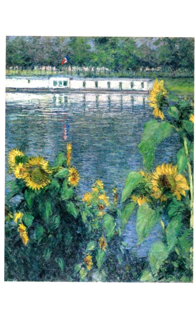 Sunflowers Along the Seine, Gustave Caillebotte (1859-1935) --New POSTCARD