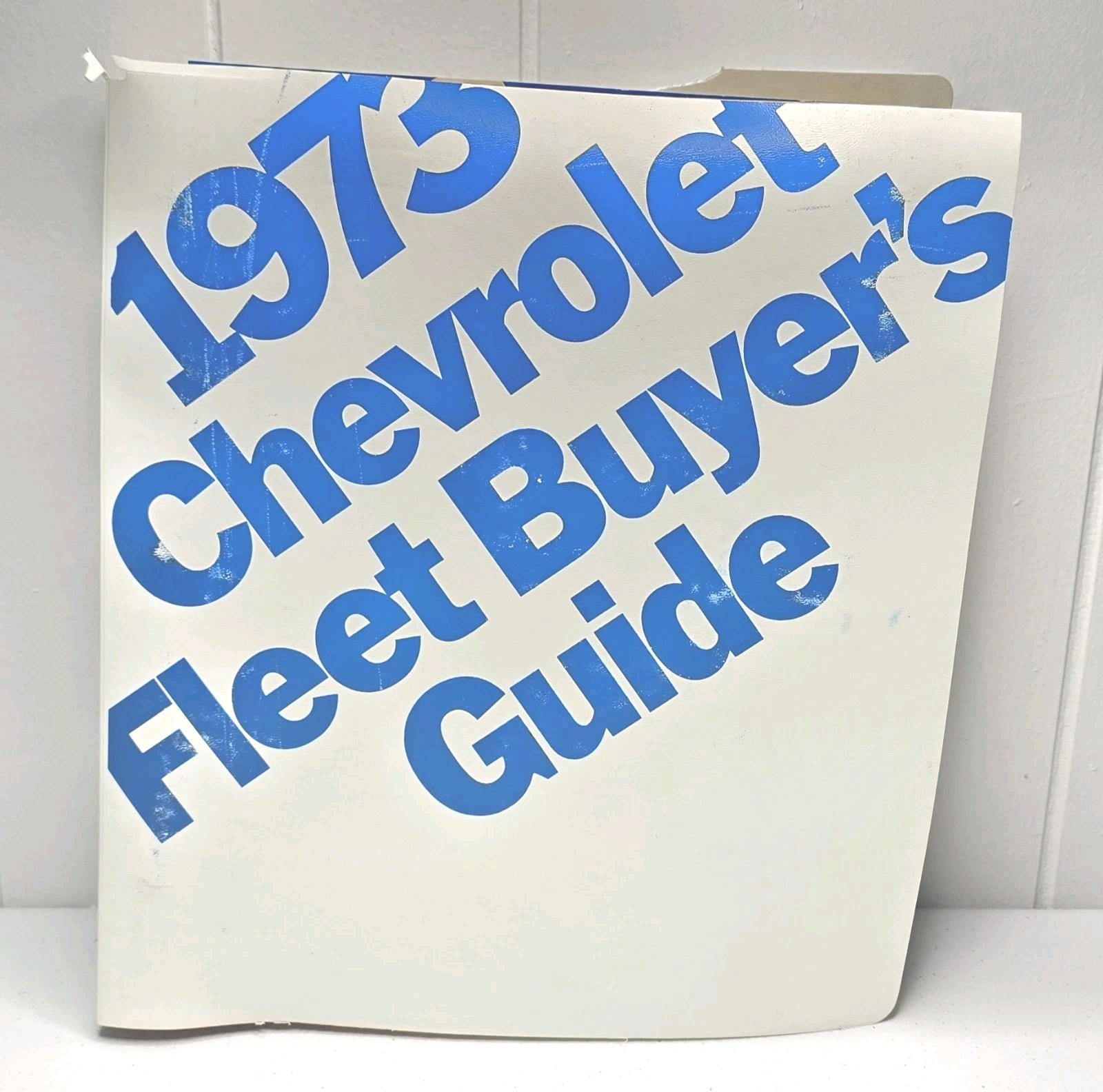 1973 Chevrolet Chevy Fleet Buyers Guide Dealer Ext Colors & Int Fabrics Original